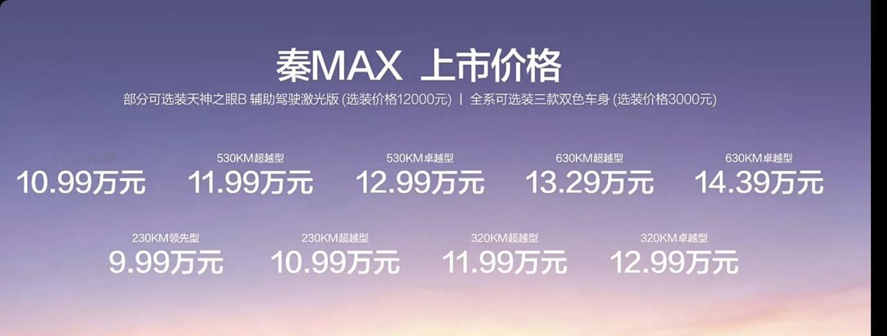 秦MAX搭载的二代刀片电池+闪充技术在零下30℃依旧能够在12分钟内快速补能，这