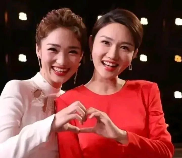 龙洋，蓝羽是现如今央视的女主持的台柱子，都连续主持了几年的春晚，她们的主持都各具