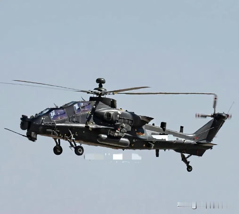 嘿嘿嘿，不得不说我们高配版头上顶个球的武直-10，这看着就是高大上啊！[大金牙]