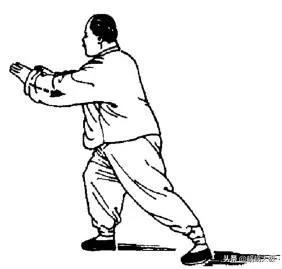 学习传统杨式太极拳85式拳架，优化练习第二十六——抱虎归山之按
（全是干货）
