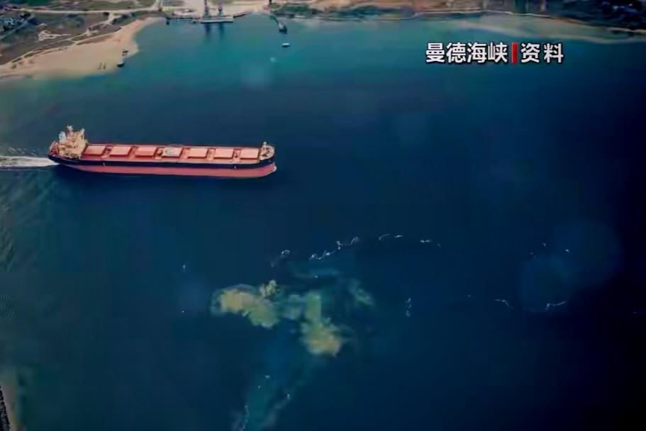 波斯湾的暗流：胡塞武装这回是真要“下场”了？

伊朗那边最近放出了点风声，一位军