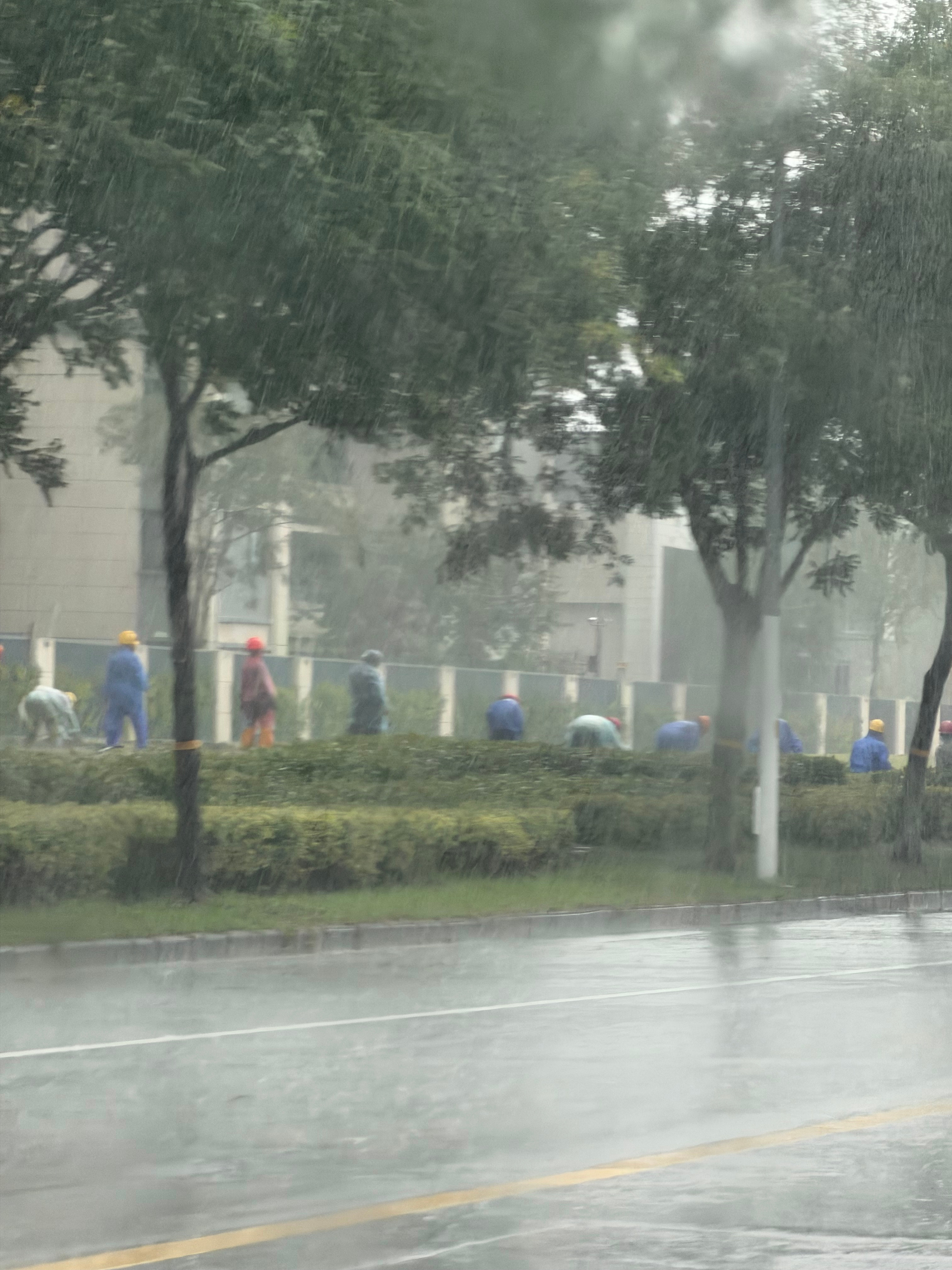 南通大暴雨下了一整天了，市政还在外面弄绿化，打工人不是人吗？南通爆料