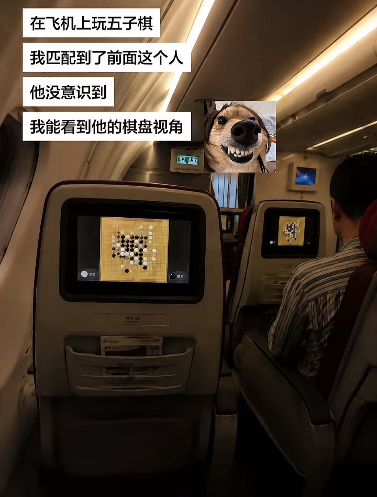 艾伦和莱纳的顶级智斗 