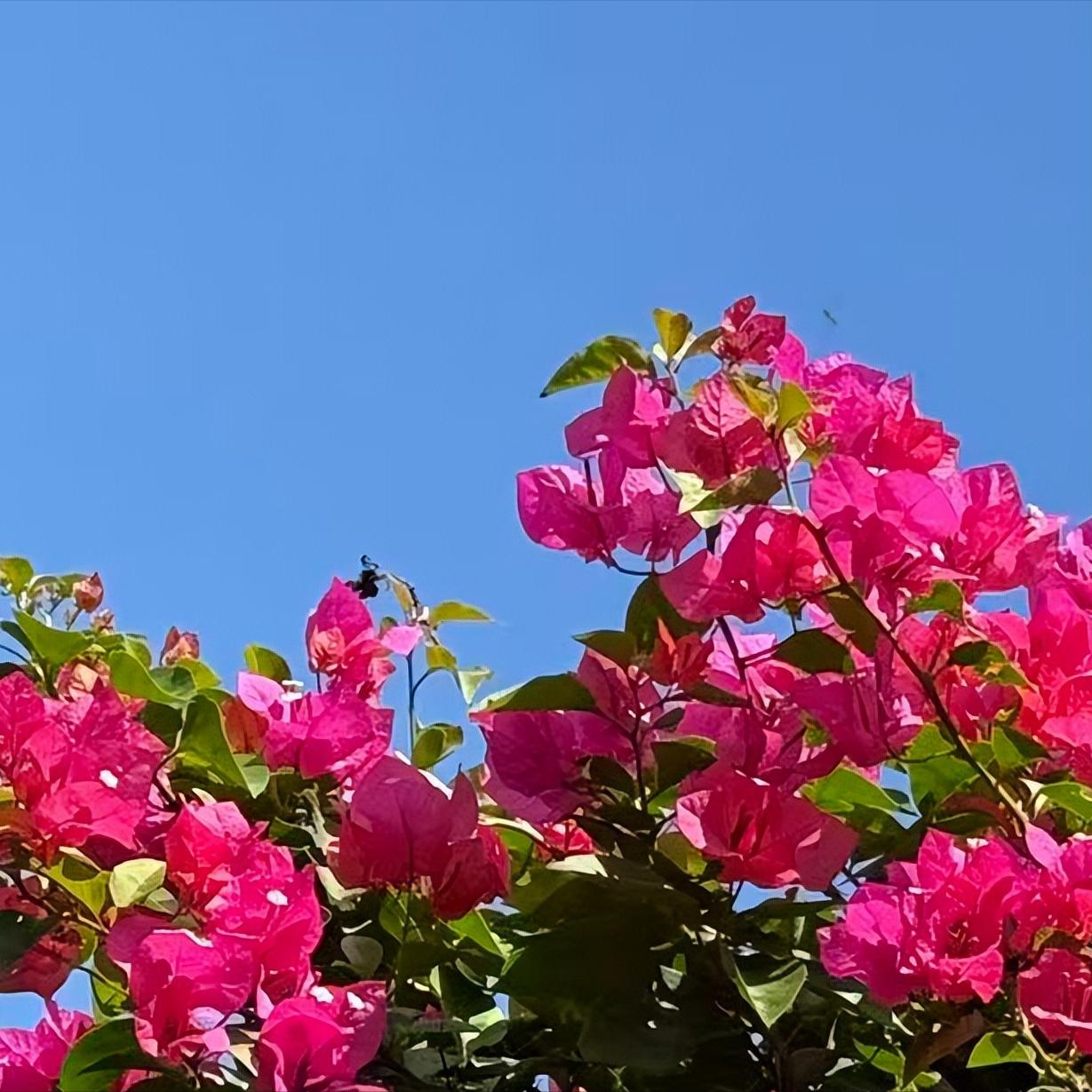 二十届中央纪委五次全会会期3天   传递出3个重要信号
 
二十届中央纪委五次全