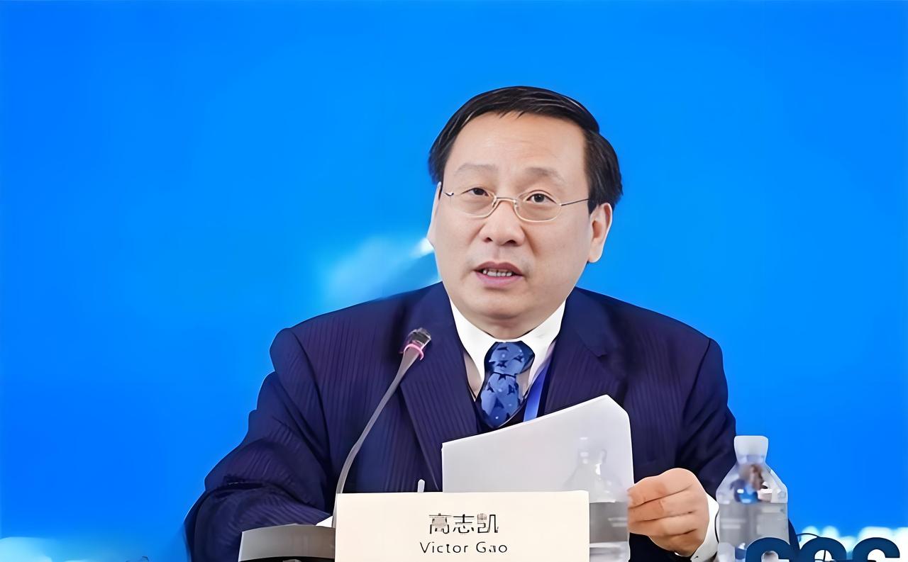 高志凯教授说出了事实，诛心之论。

高教授在接受采访时说，英国人老是说中国是他们