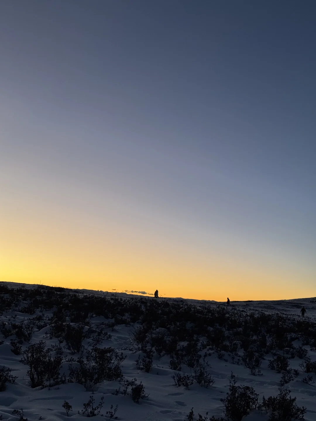 年底关键时期，要尽量减少和过去的负面磁场再纠缠，该放下的立刻放下，那里的因果已经