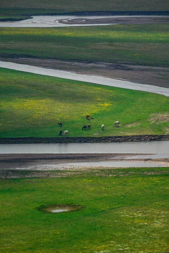 跑了3500公里想给你看6月的呼伦贝尔有多美