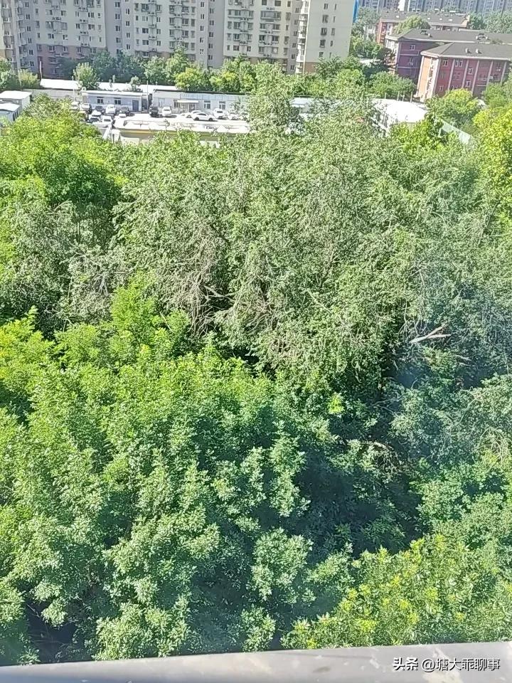 不绝对
好可以
不能傻
就是不能没底线
有底线
不做坏事
就是好人