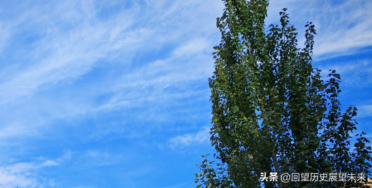 夏日生活打卡季