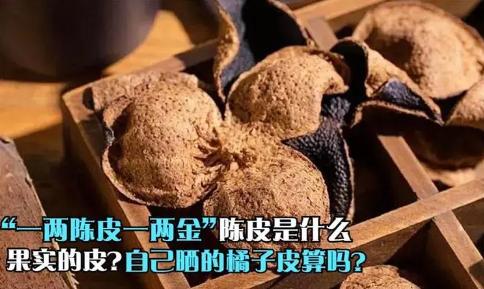 "一两陈皮一两金"？陈皮是什么橘子的皮，自己晒的橘子皮算吗


小小橘皮竟然"身