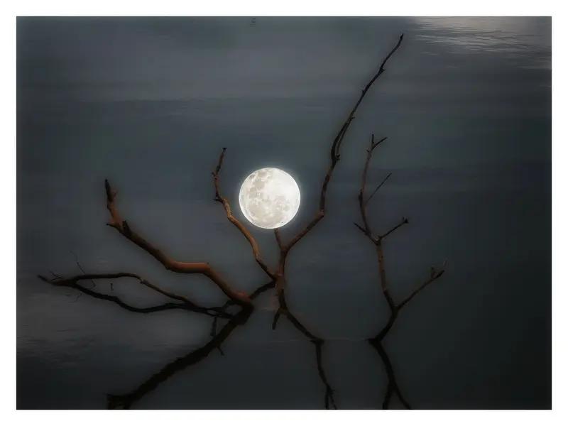 AI妙生图月上林稍悬亮镜。