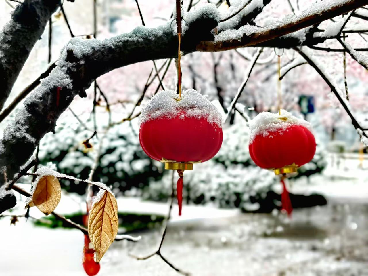 记住，别再傻傻的晒幸福了。
孩子有出息了，自己升职加薪了，过年举家旅游了，年夜饭