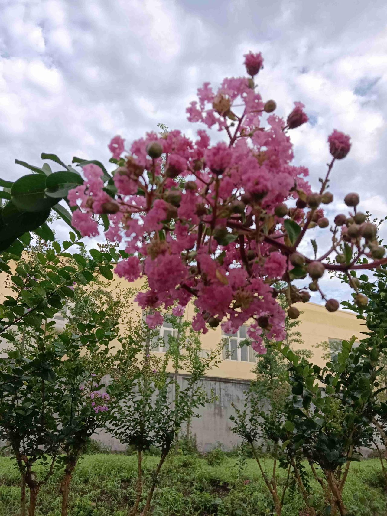 我的今日状态：😁轻松愉快
我这里的天气：🌤️多云