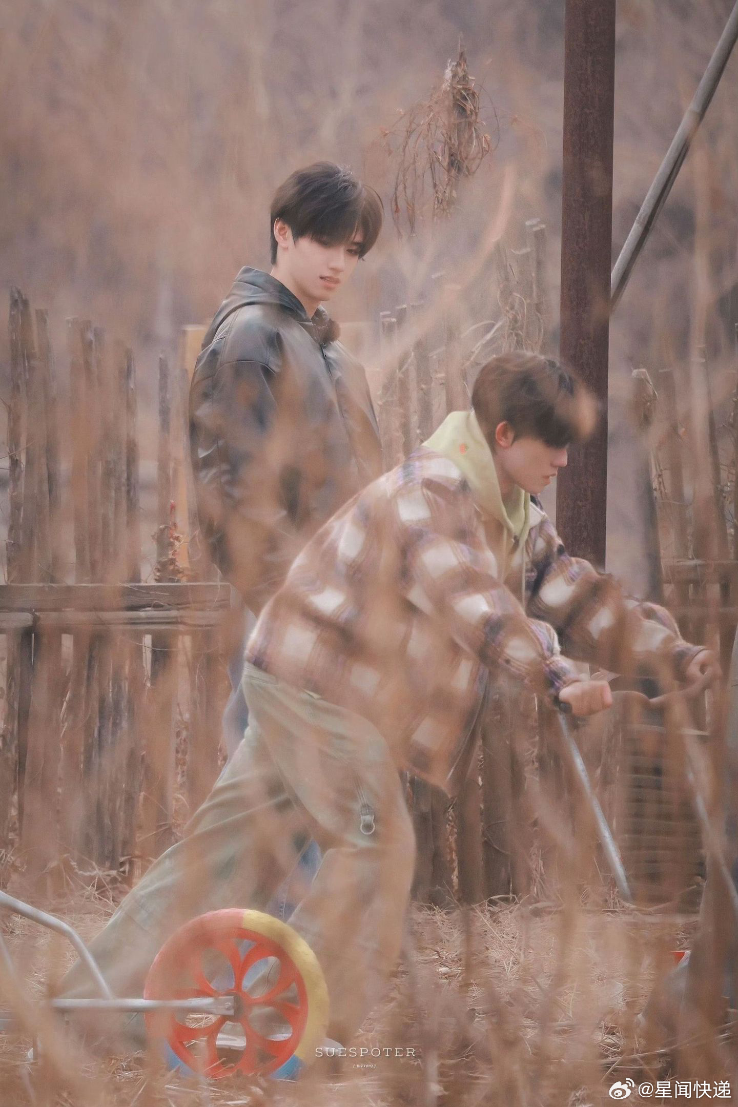 朱志鑫苏新皓路透种田文照进现实！朱志鑫、苏新皓田间劳作路透反差感拉满🌾犁地、骑