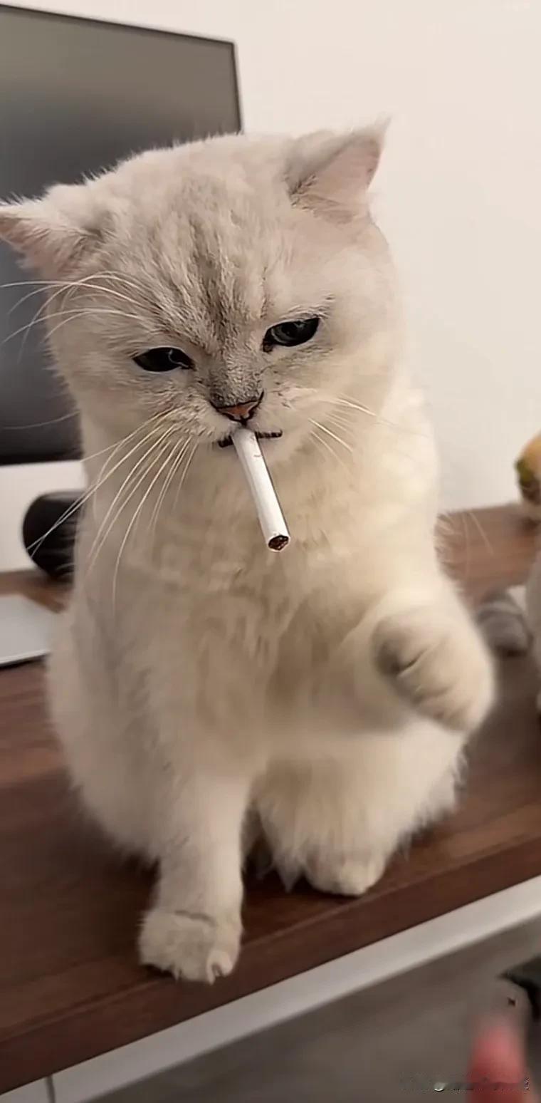 我是穿越者，来自未来5000年，在2024年投资贵金属有人成为了亿万富翁#穿越千