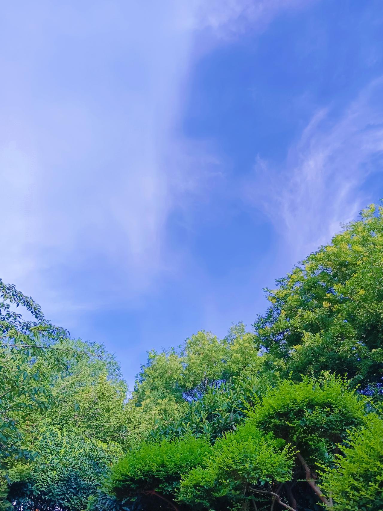 只要不生病比啥都强你认同吗认同。健康是1，其他都是后面的0。没有健康，财富、成就