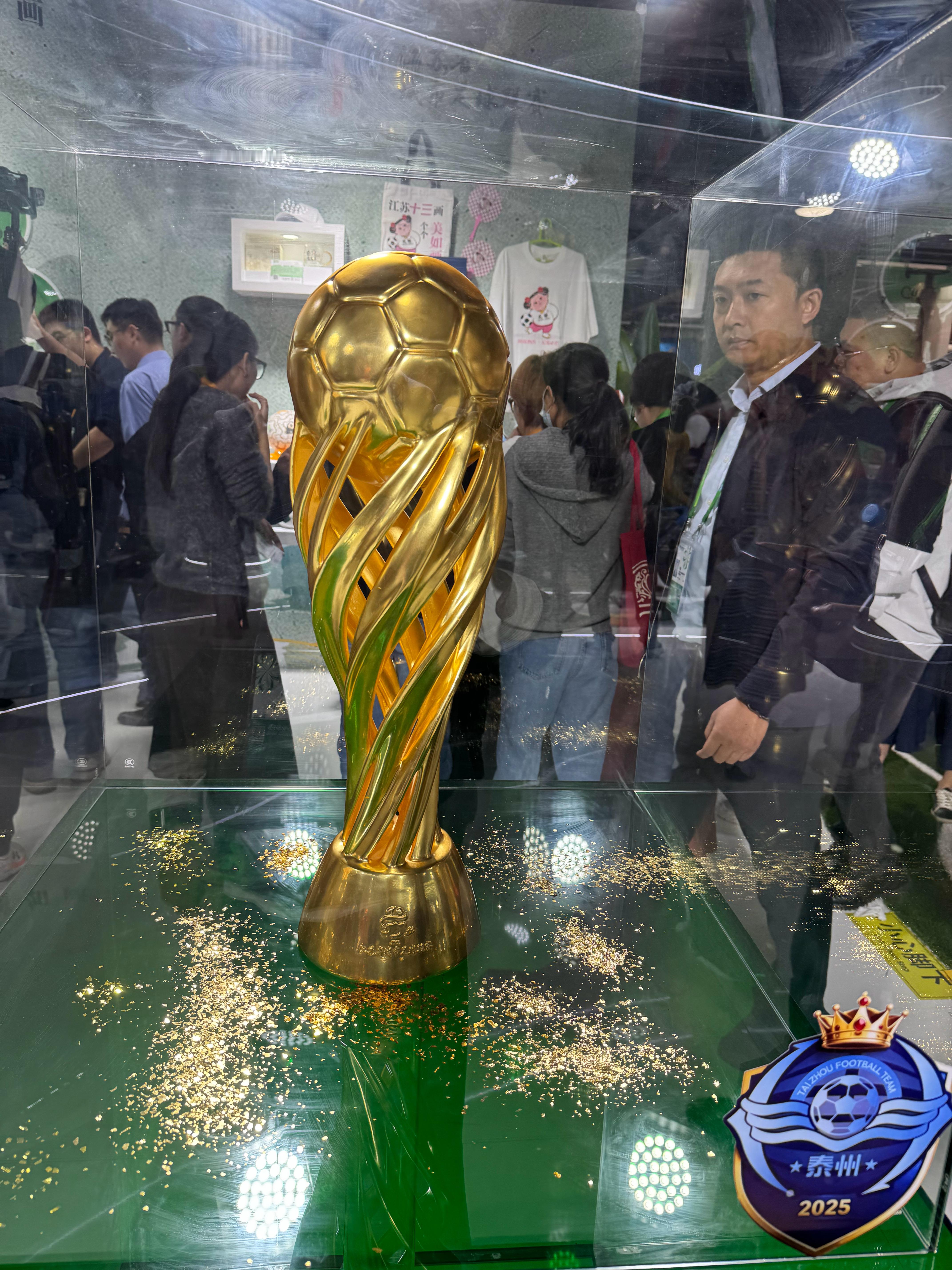 进博会江苏馆带来苏超🏆、还带来了常州恐龙来表演、阿根廷直接带来了国家的荣誉大力