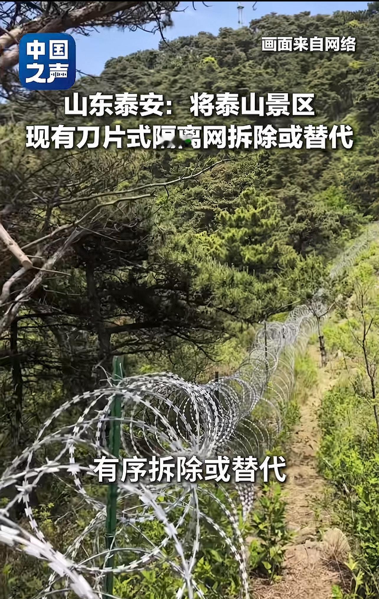 投入2519万建成的135公里刀片网或被拆除或替代 