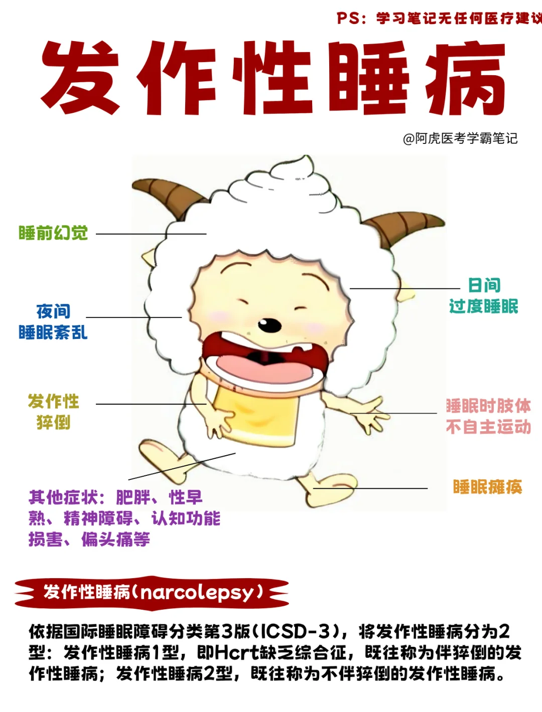 医学生笔记📒｜发作性睡病👆