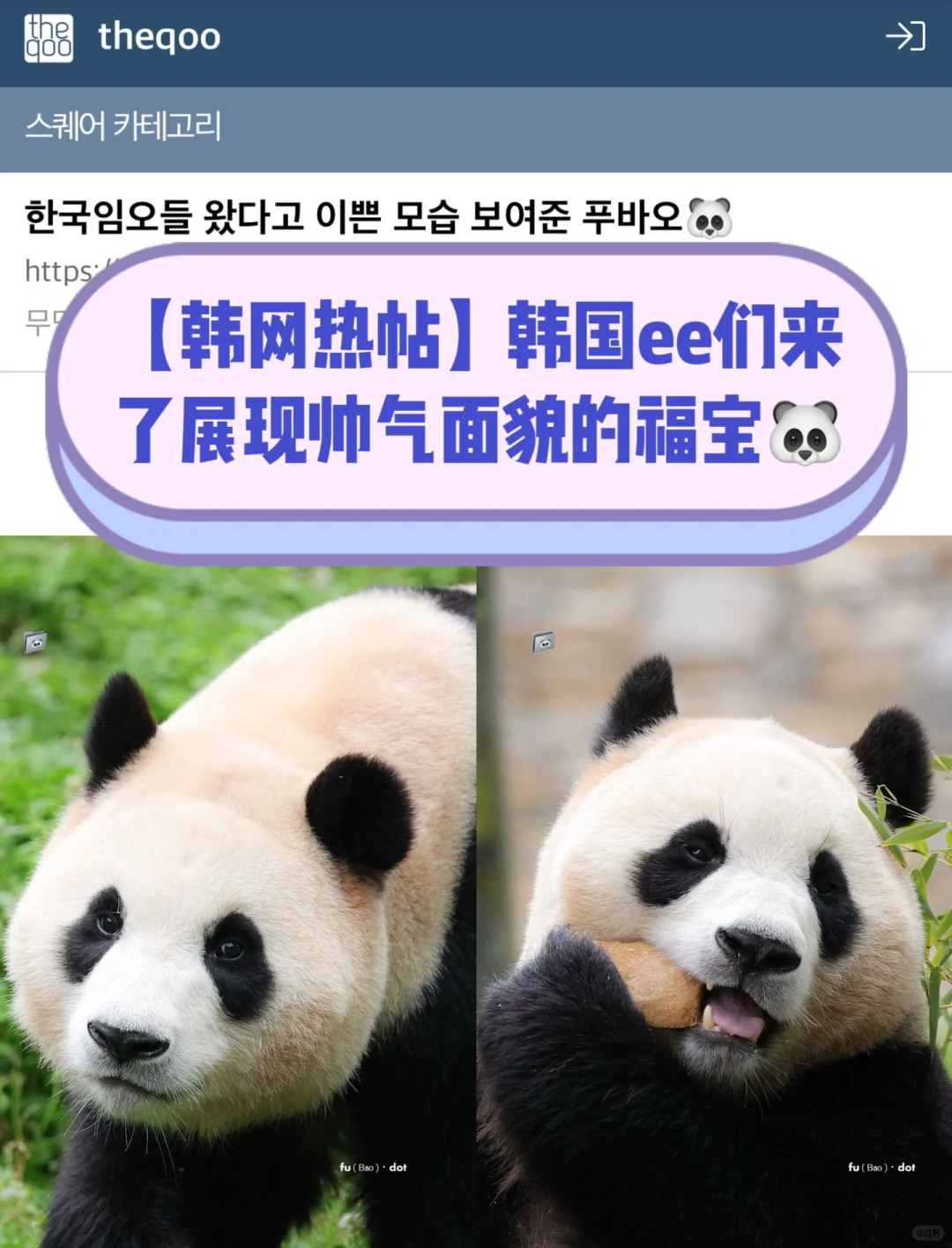 🔥韩网热帖｜韩国ee今天也来了画质提高了