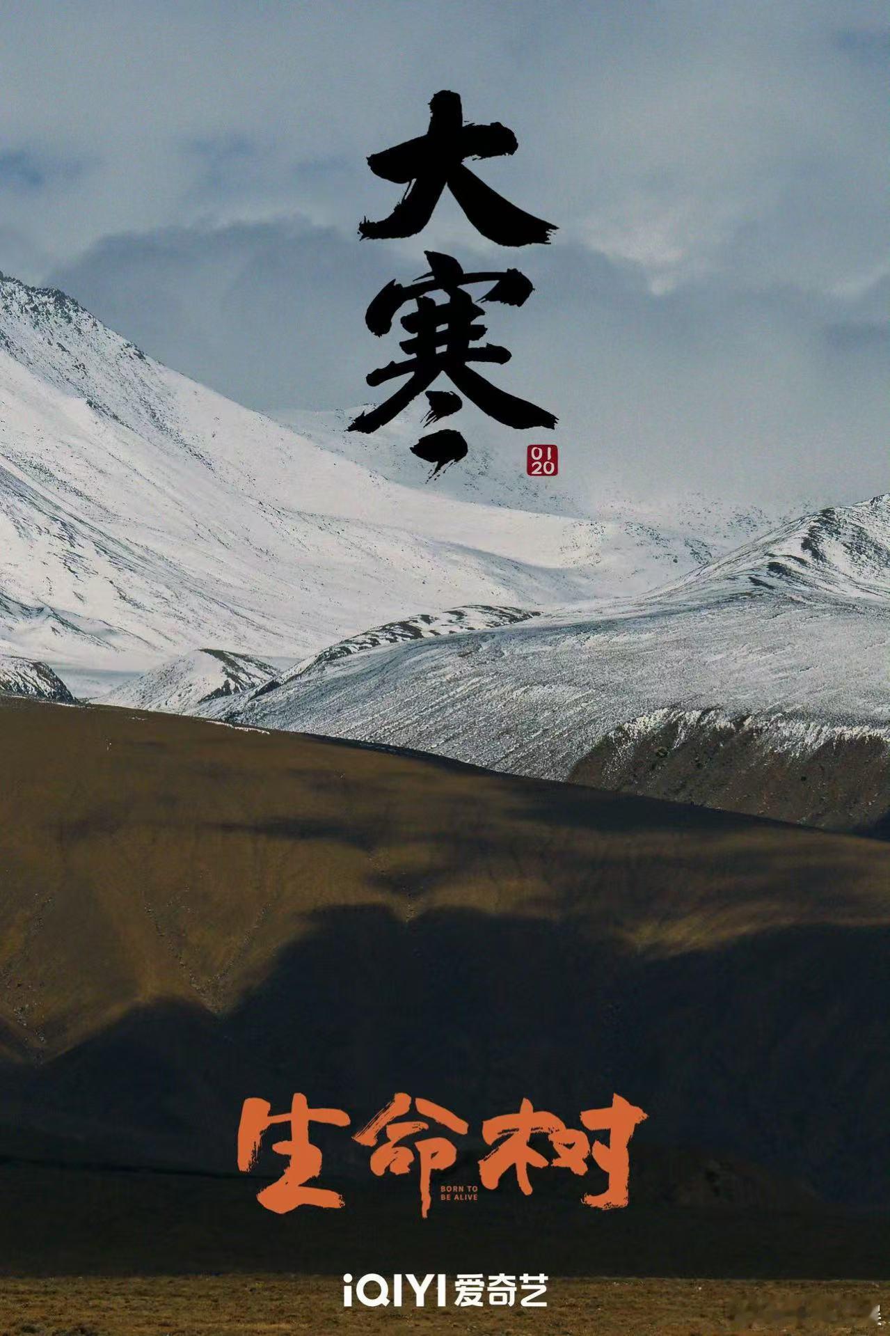 生命树大寒海报杨紫生命树大寒海报生命树大寒海报，好看，挺好 