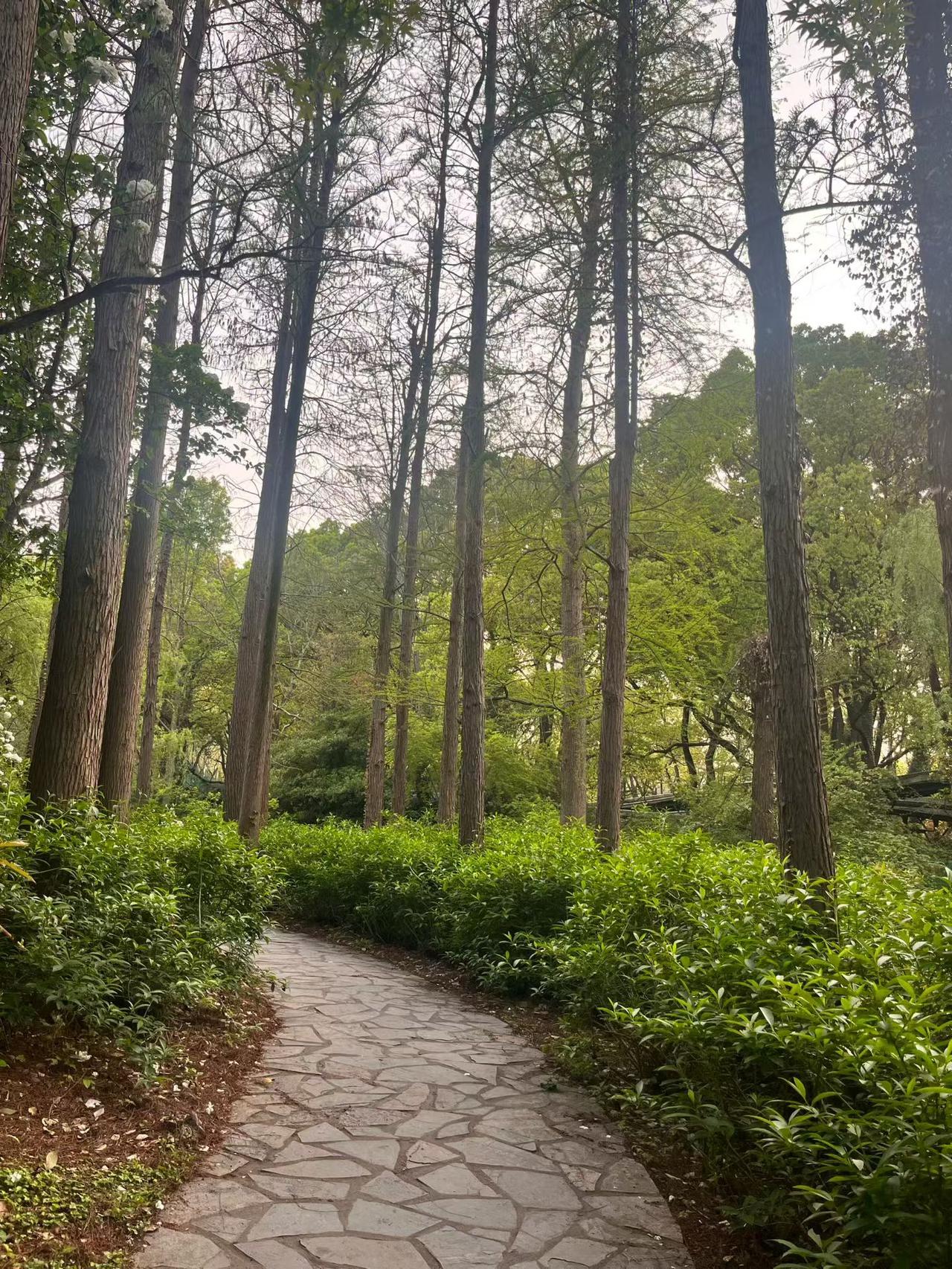 ☀️
美好的一天开始啦！

愿意努力的人，方法总比困难多，敢于坚持的人，目标会越