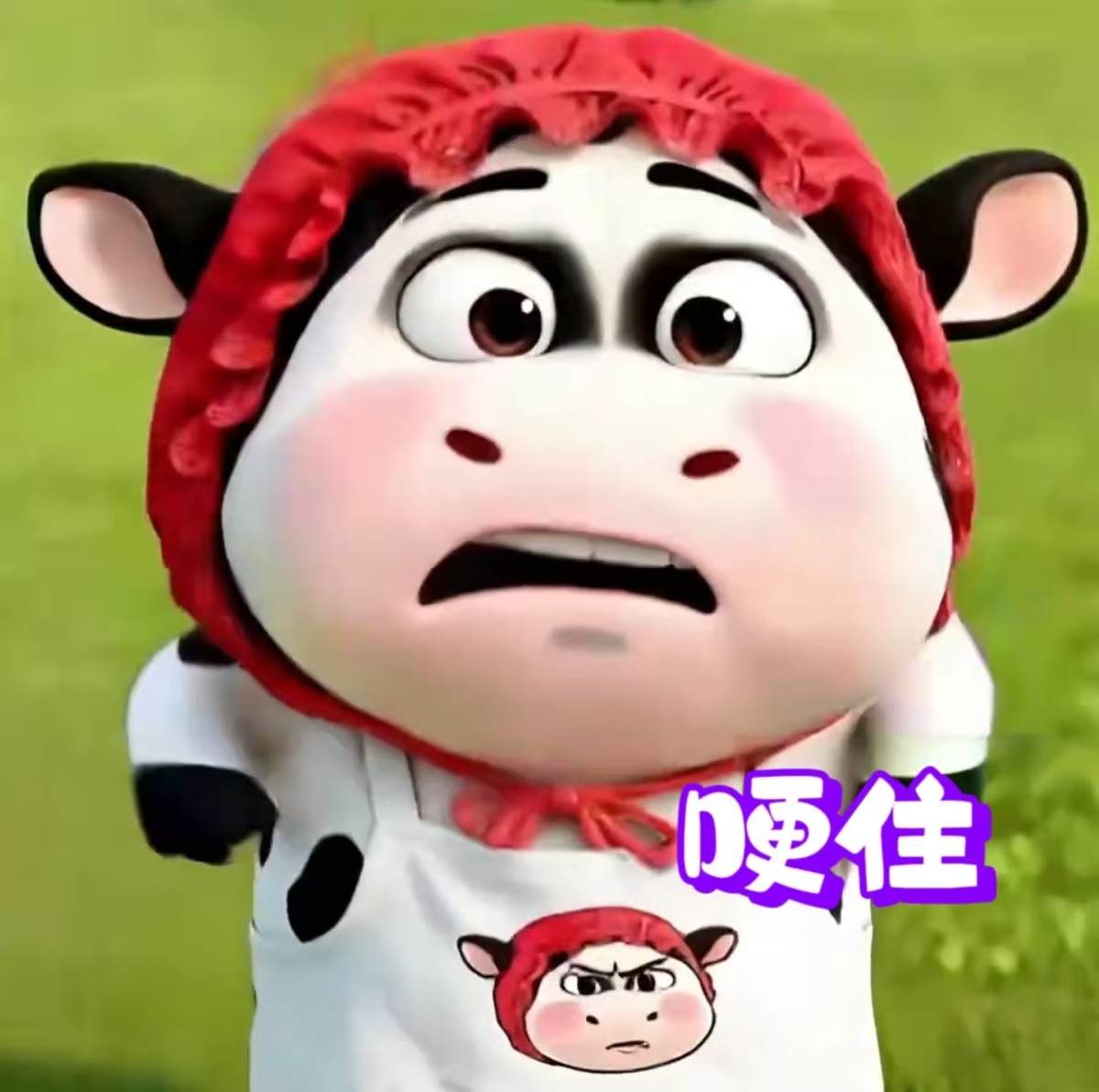 去年今日根本不敢看