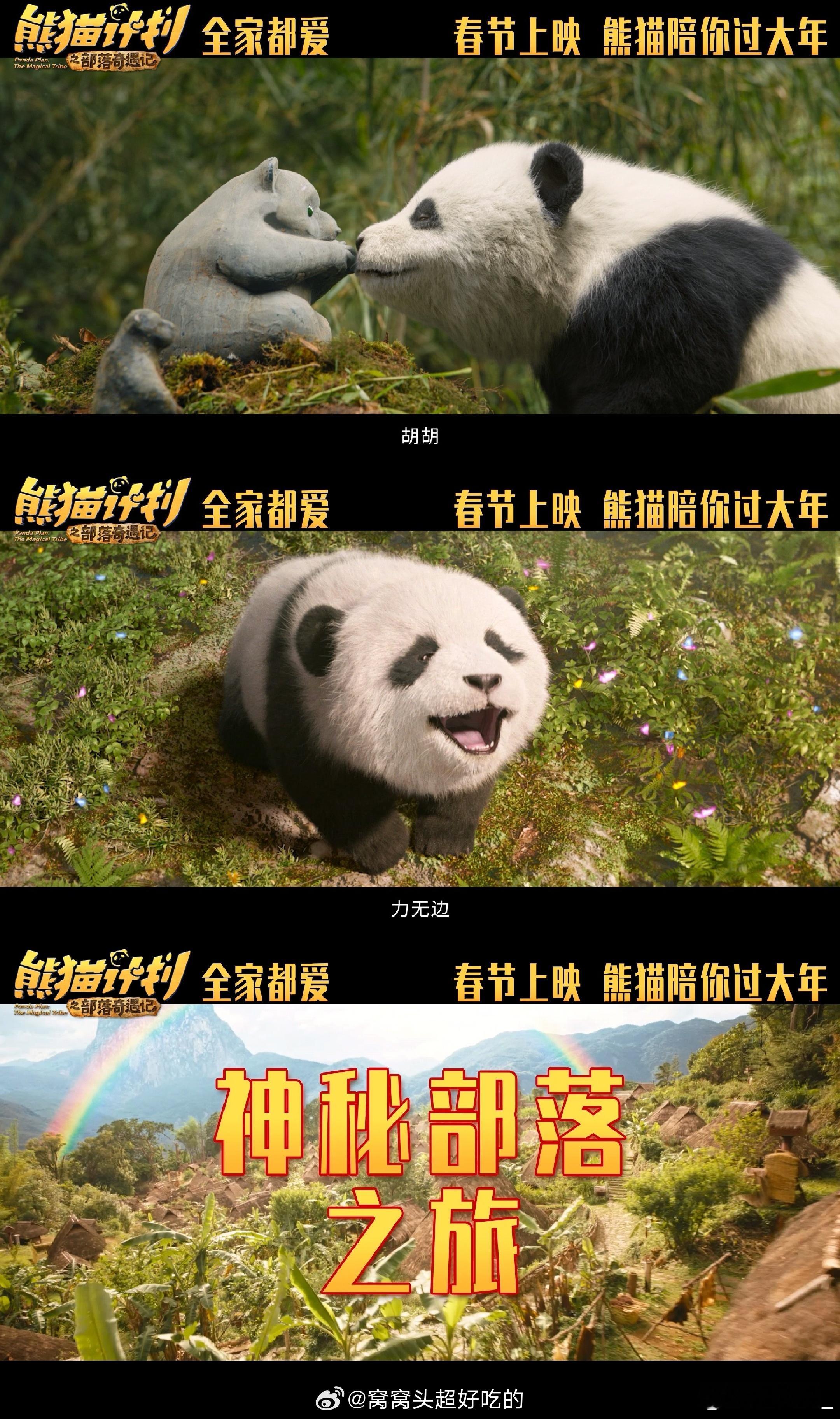 独家解锁高能量熊猫的一天 高能量熊猫的一天，解锁胡胡的双面魅力，又猛又可爱的模样