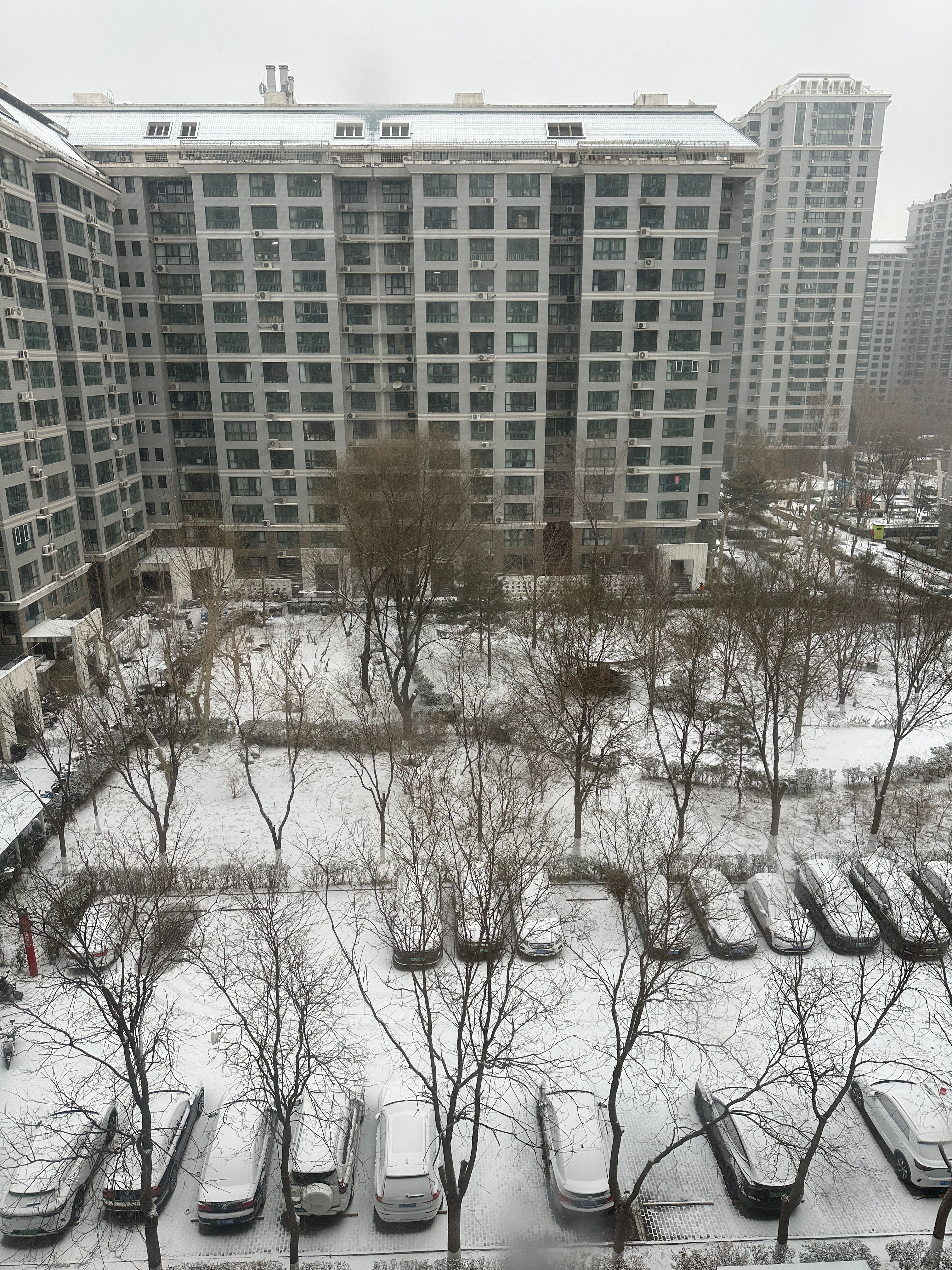北京的雪下大了 今冬的第一场雪❄️ 北京