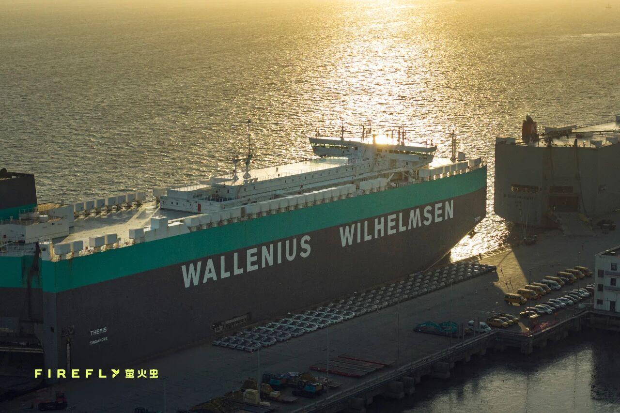 萤火虫出海，大批萤火虫驶向欧洲