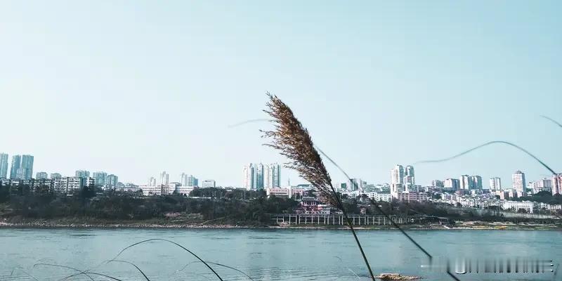 独处
 
不想和有钱人碰杯
听他们细数珍馐百味
 
不想蹲在失意者的屋檐下
捡拾