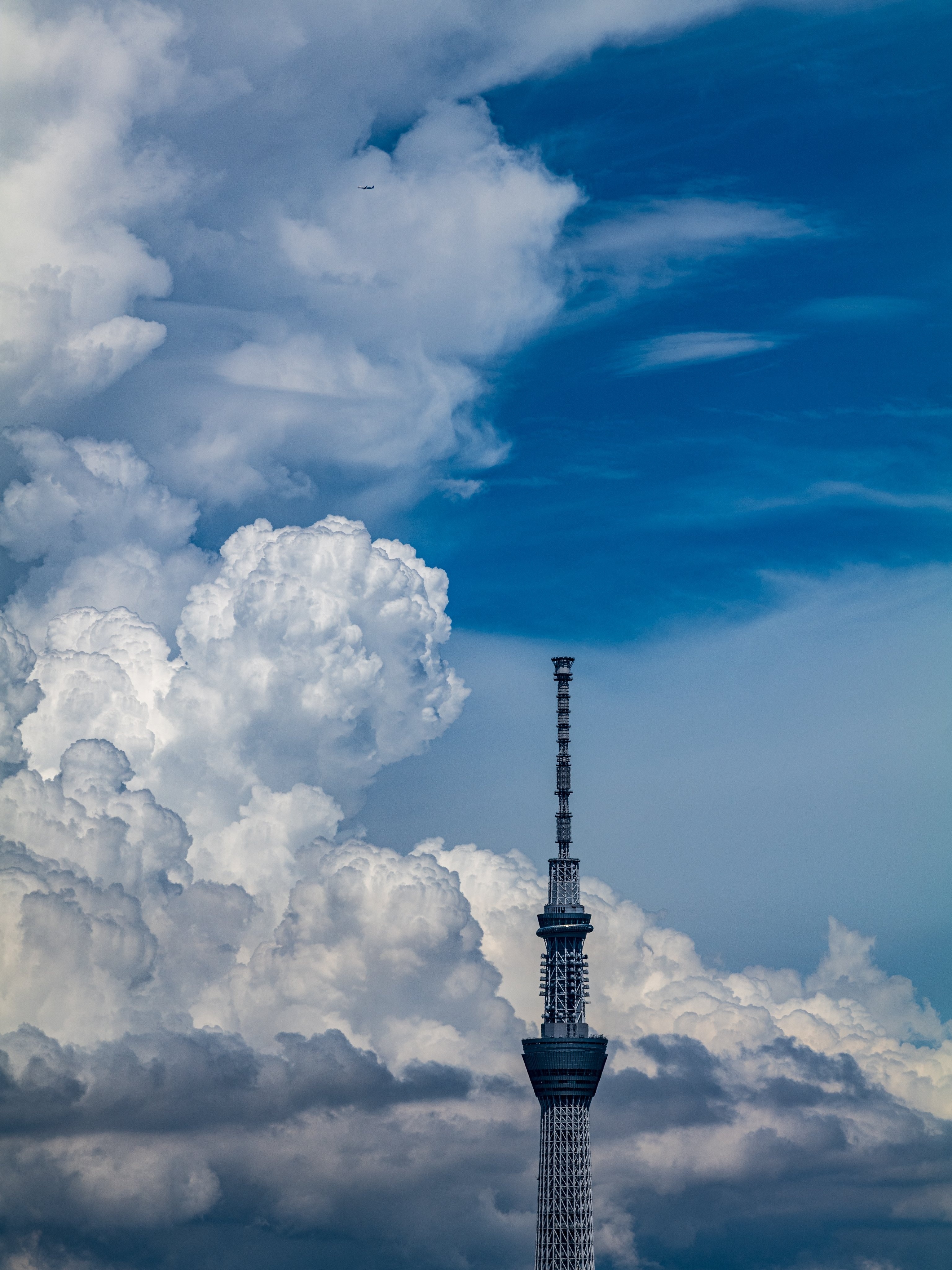 晴空 塔 （图源：x.com 