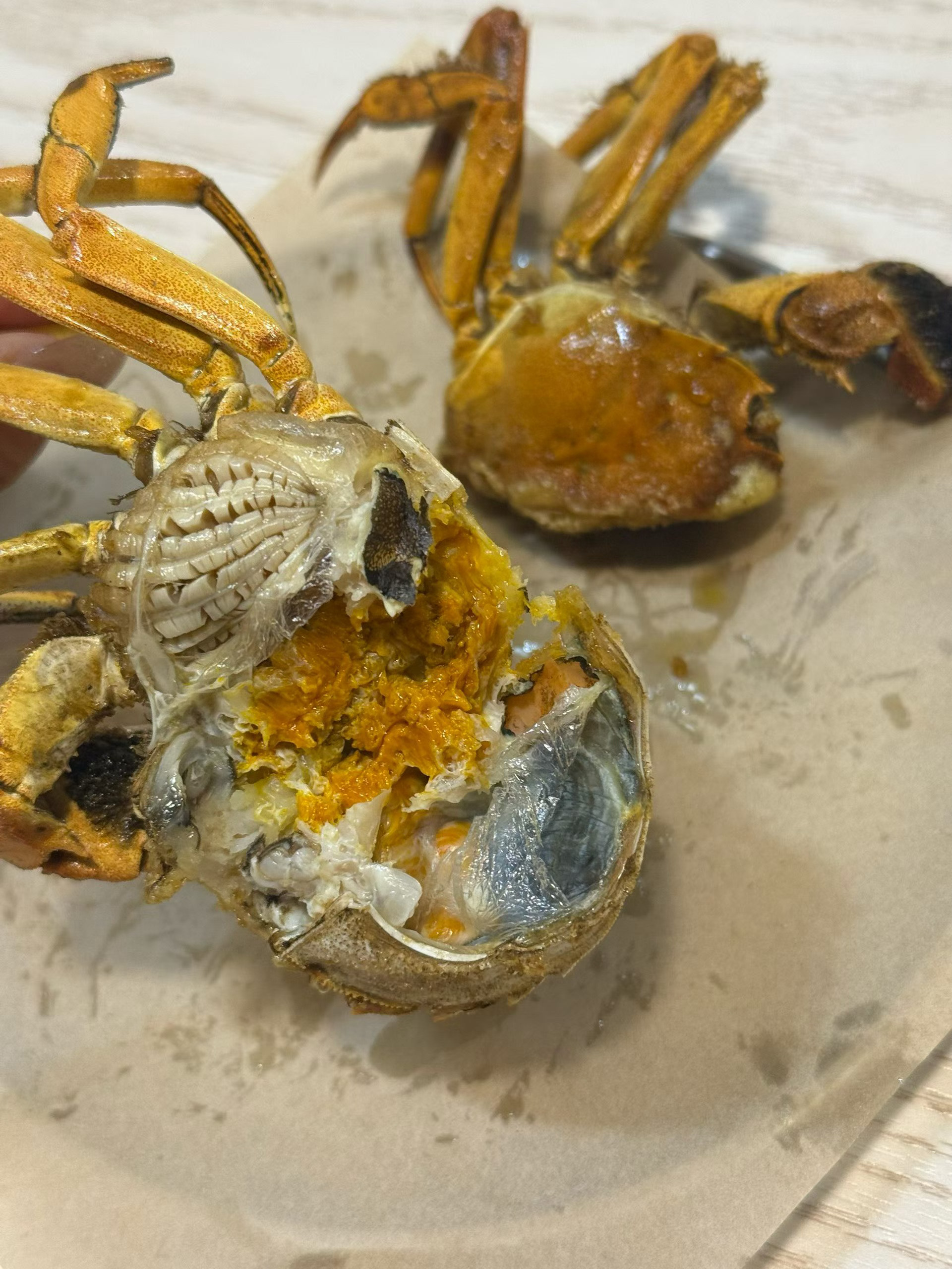 每日一餐分享肥美