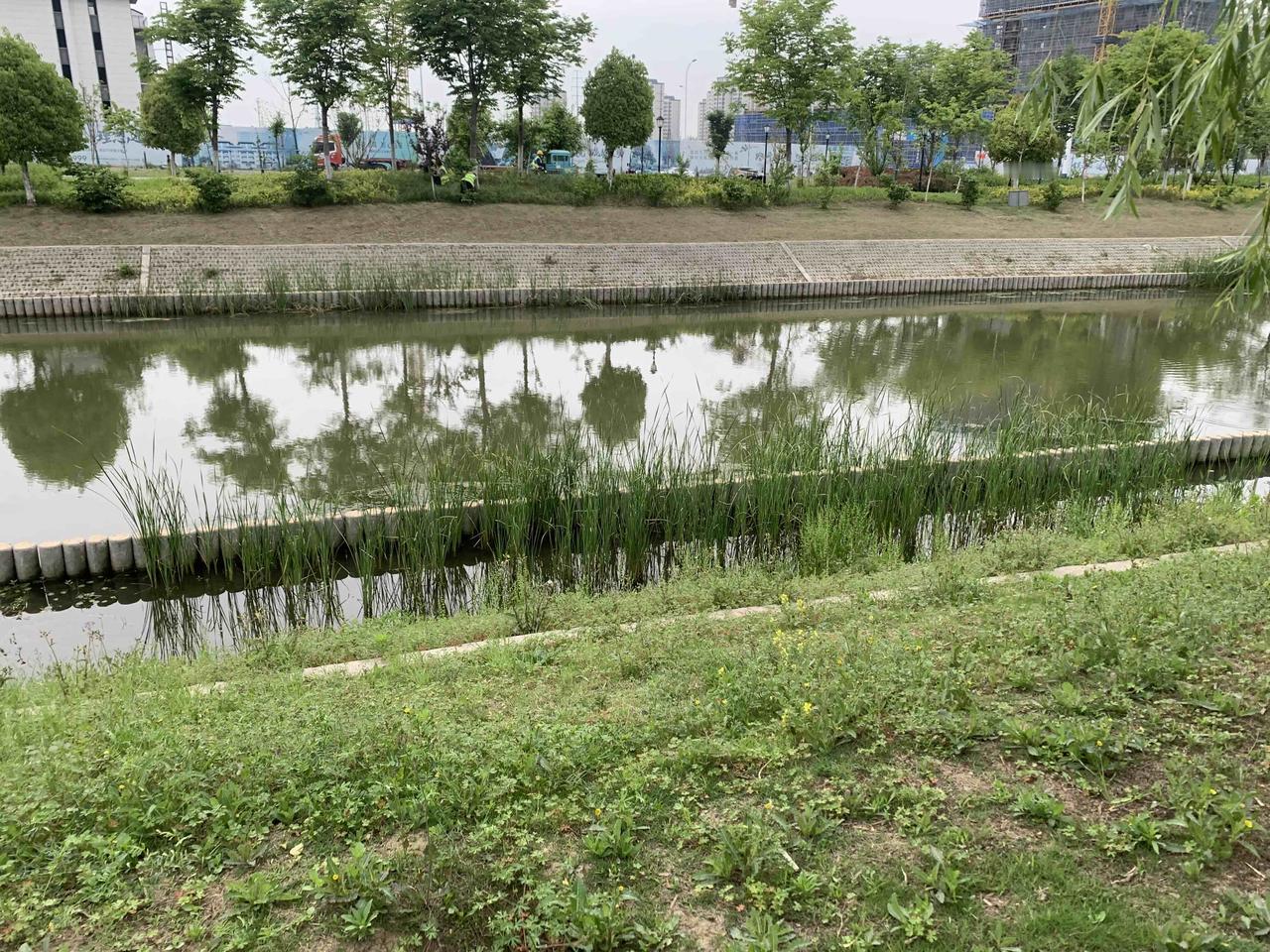 起运时的闭嘴、独处、藏锋，本质是三件事：
✅ 闭嘴=守福（不泄运、不招祸）
✅ 
