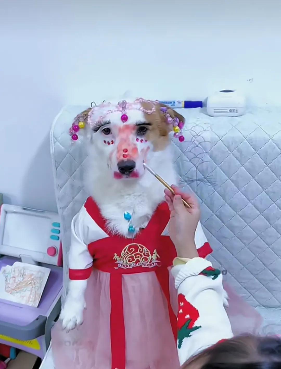化妆没有白化的，请欣赏这盛世美颜[呲牙][呲牙][呲牙]
