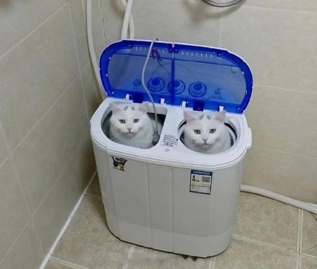 “AirPods ” ​​​