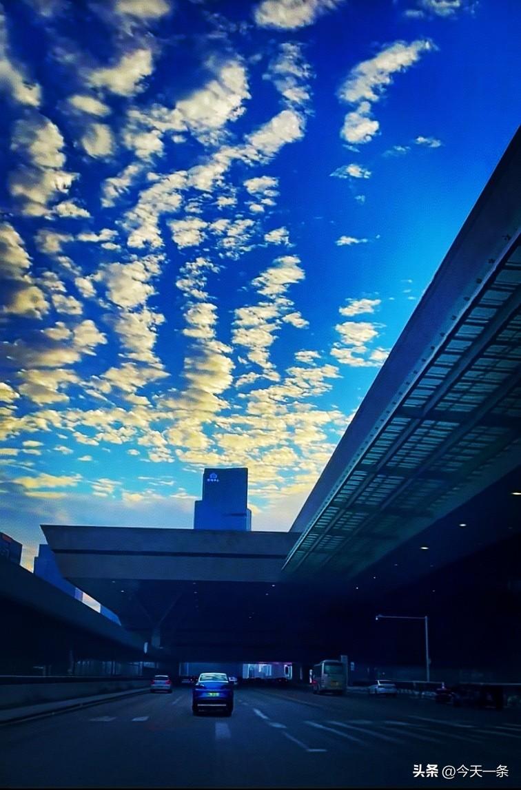 澄空如洗湛无涯，
云叠琼英缀碧纱。
巷陌风轻尘不起，
日升春暖桥横斜。
[送自己