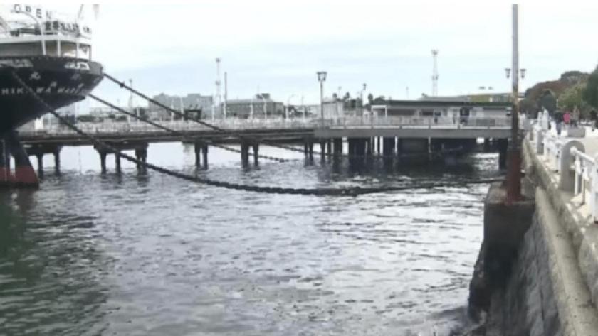 日本神奈川县横滨市山下公园发现无头且无下半身的女尸，经查证，该遗体属于一名居住于