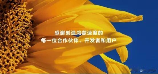 HarmonyOS NEXT发布！鸿蒙原生应用一天迭代一版本

华为在10月22