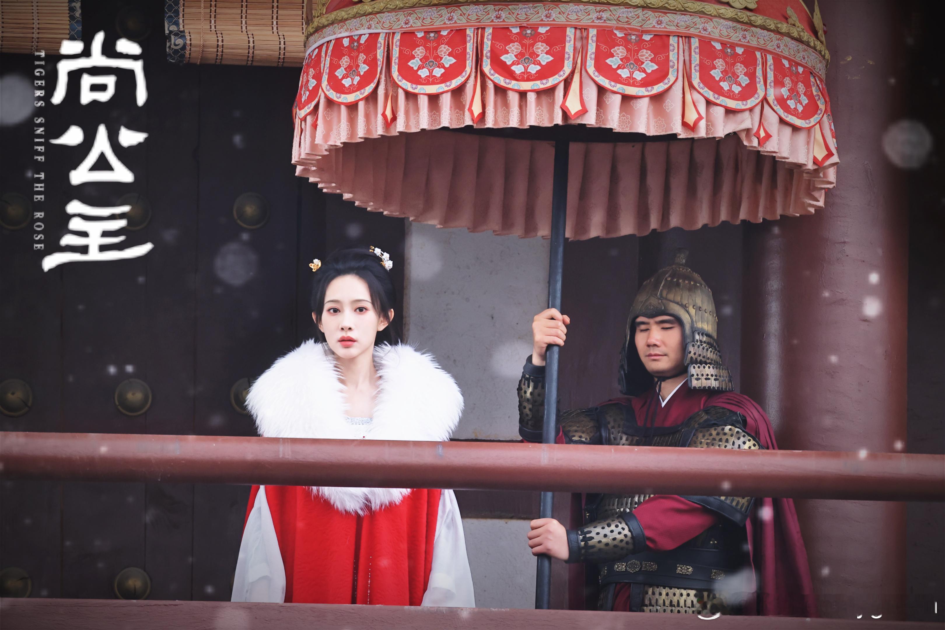 尚公主电视剧  尚公主 “剧照”来袭🈲二改 