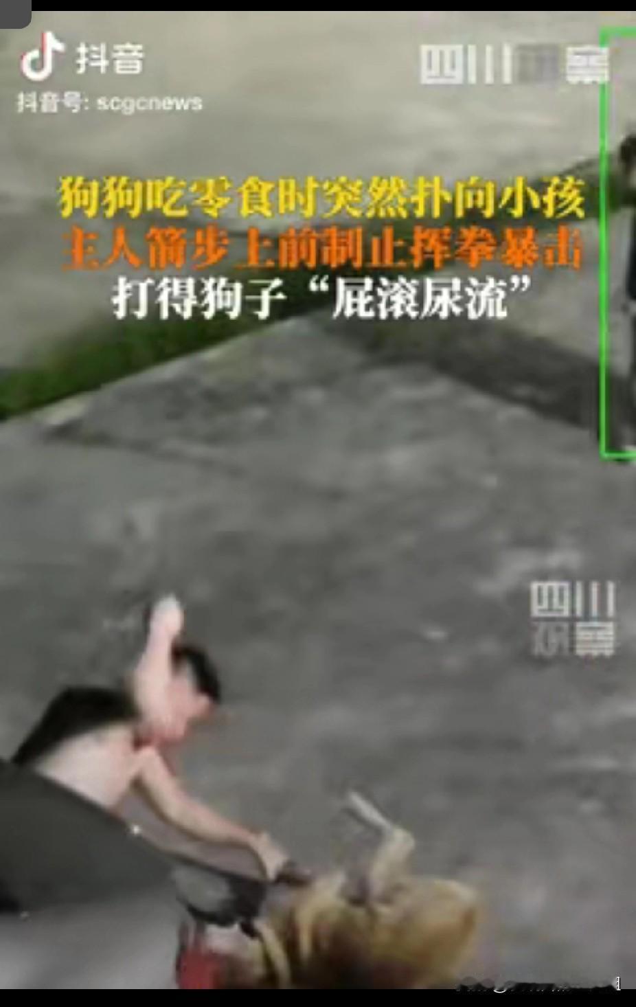 这才是真正的爱犬人士！湖南湘潭，一男子正在给狗喂零食吃，突然狗子就冲向旁边的小孩