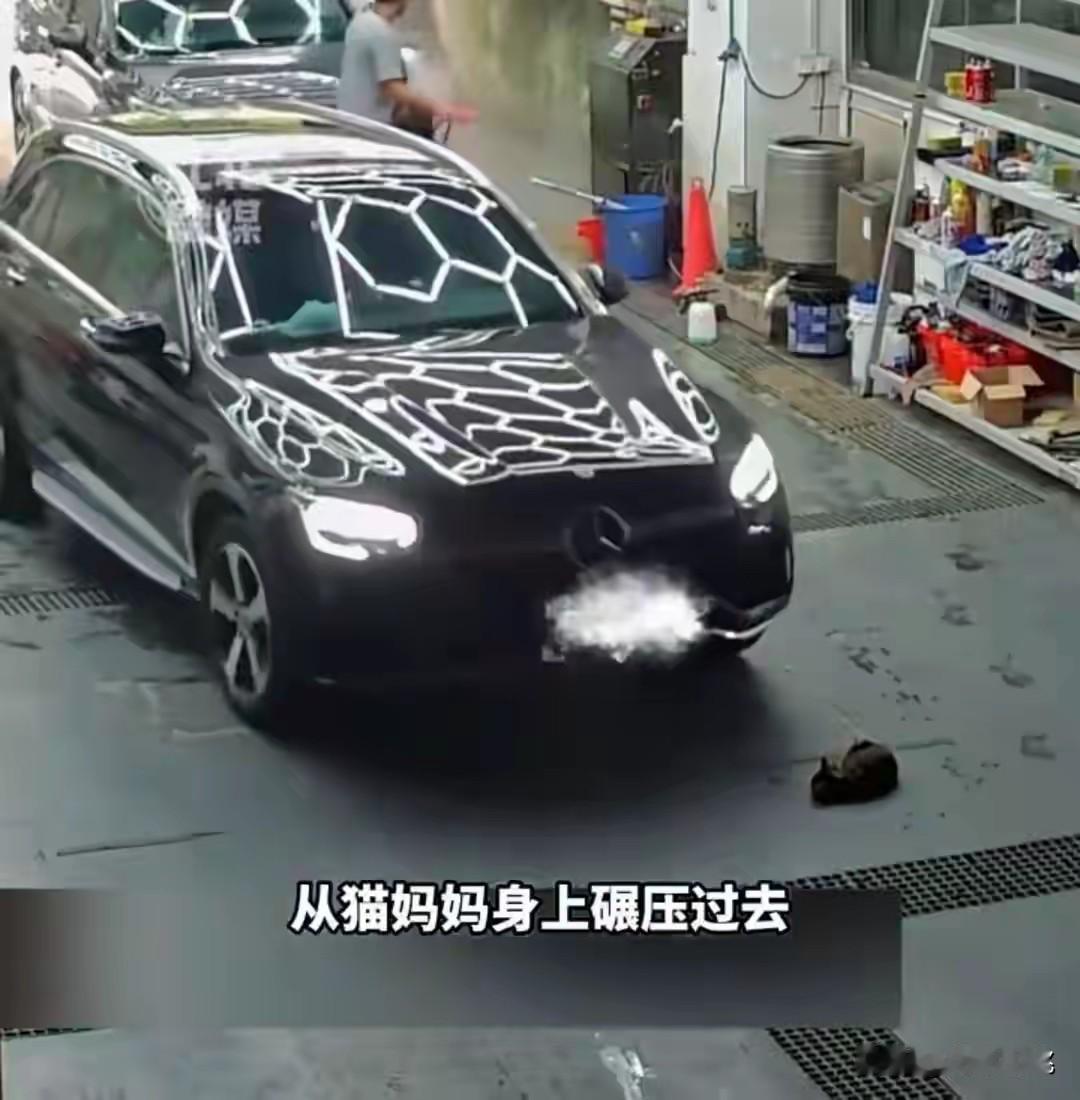 无比愤怒，人心怎么能冷漠残忍到这种地步！广东一家洗车店拍下了残忍一幕，奔驰车主洗