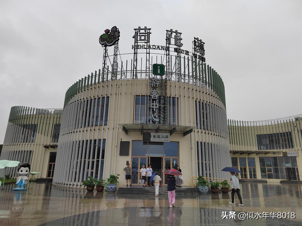 江苏广播听友团夏日探鲜记—打卡游玩金湖荷花荡景区

昨天晚上住在金湖明发大酒店，