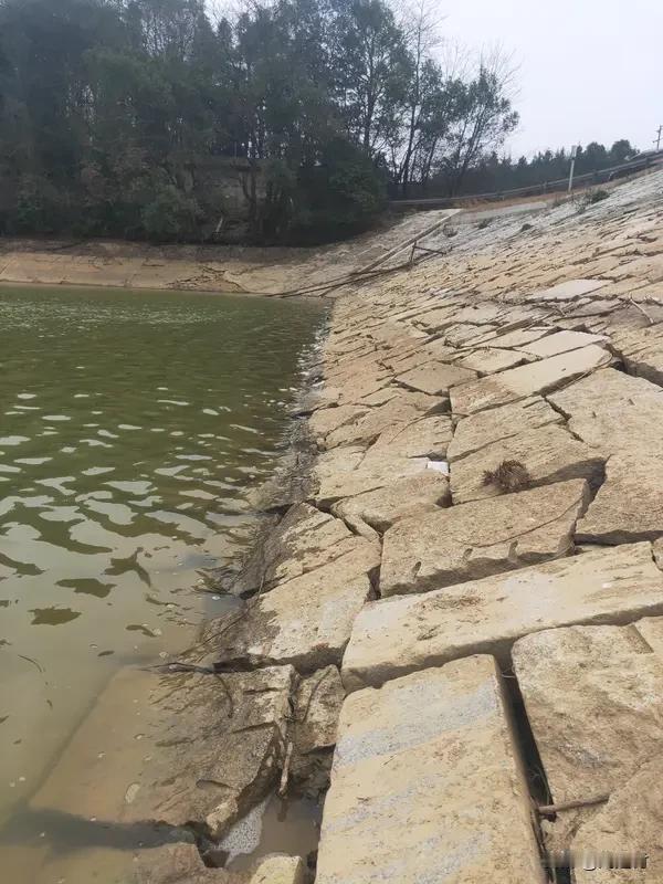 广西六蓝水库坝体受损区域较大 广西六蓝水库坝体受损区域挺大，这事可太让人揪心了。