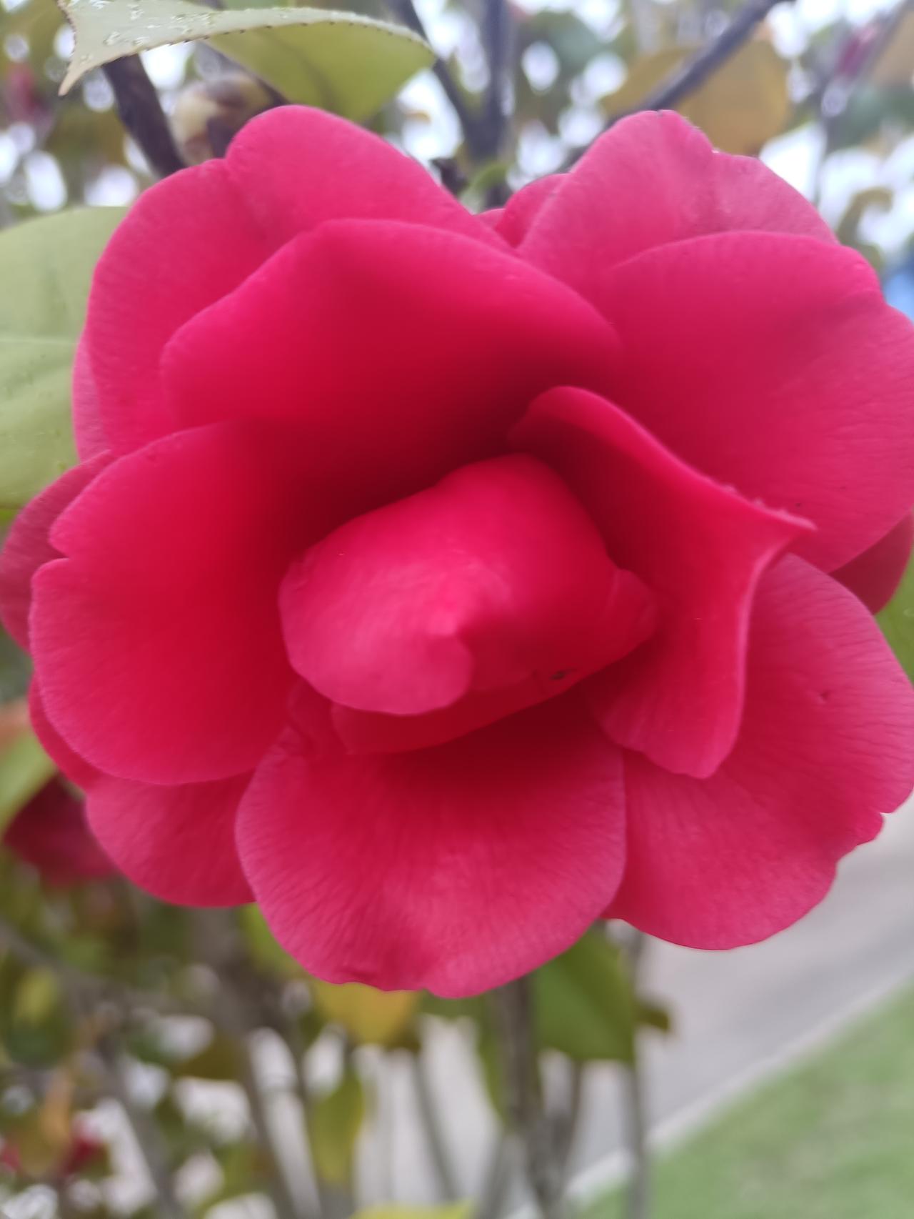 教育创新，在适应AI时代，积极探索教育之路，在新字上做好学问，提升教育质量上下功