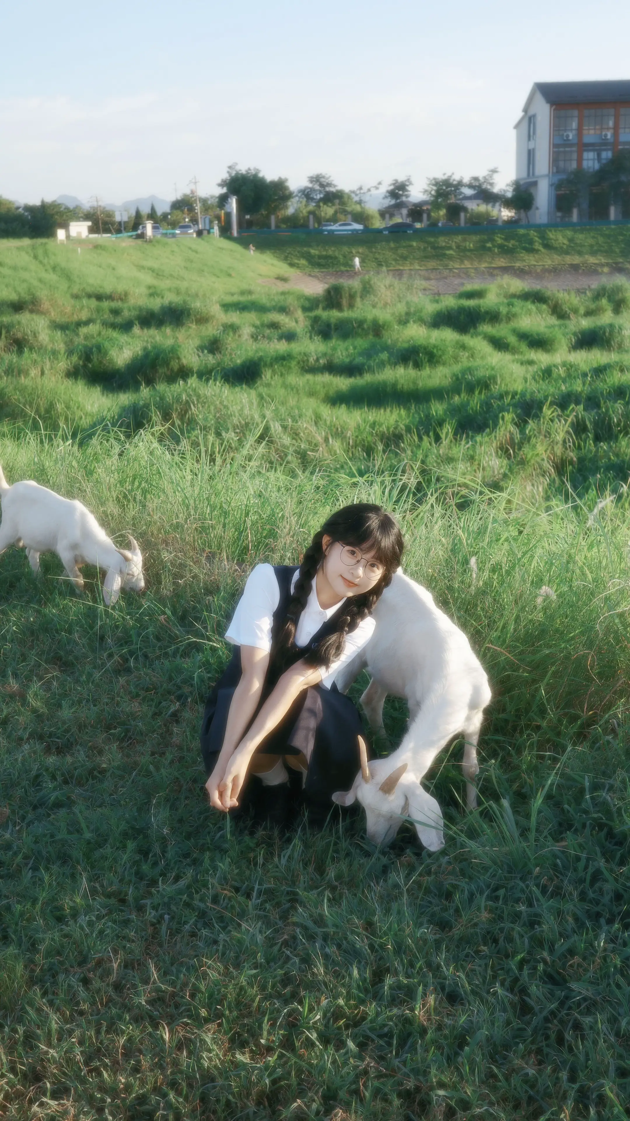 慢慢长大的小羊🐑