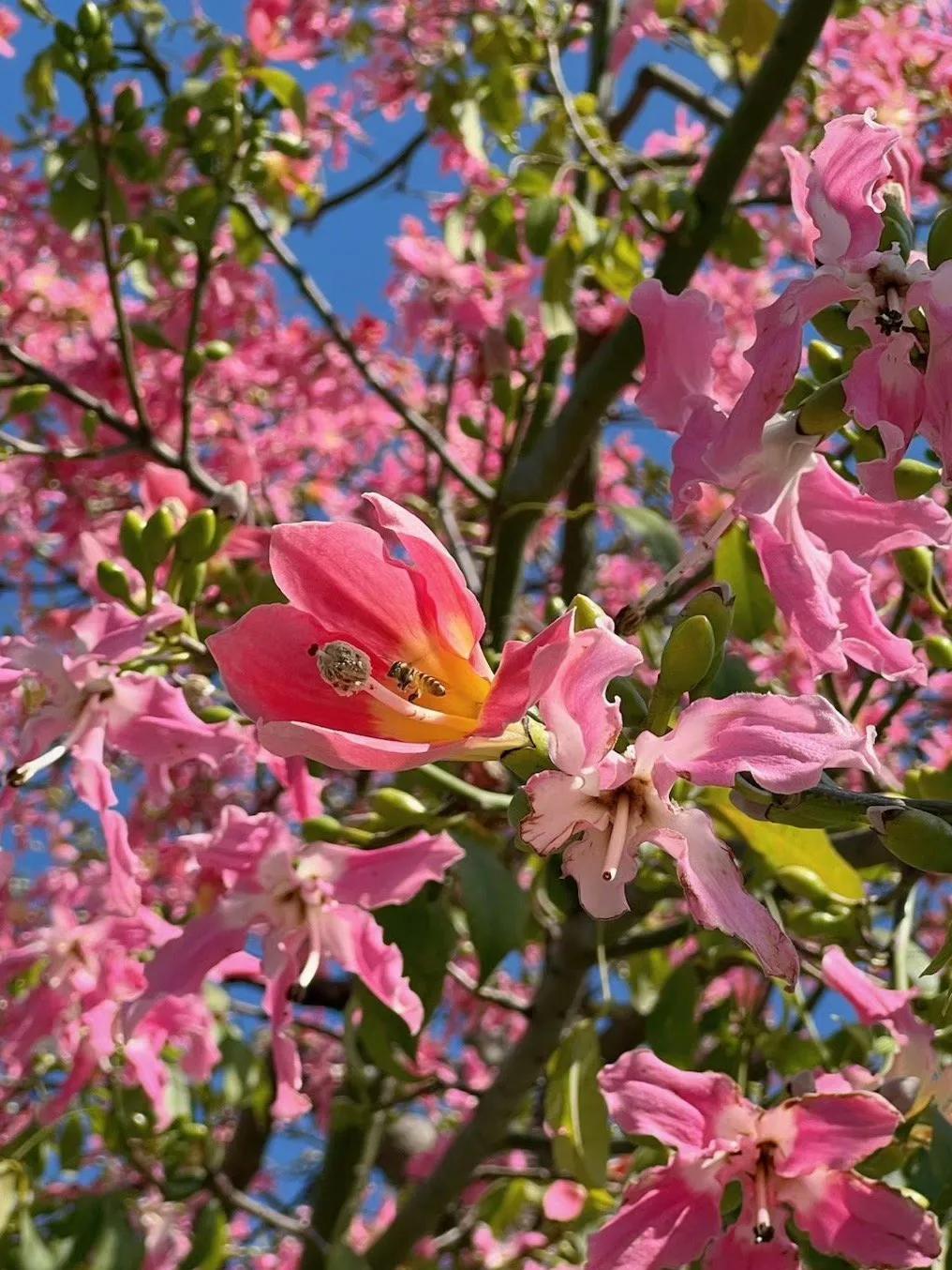 广州潮物集中地：大沙头旧货市&海印广场

广州著名数码影音潮圣地：
盛贤大沙头旧