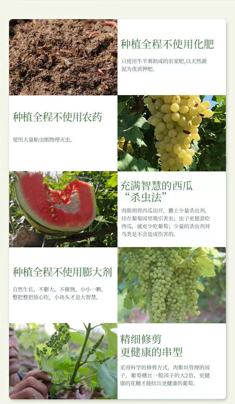 这是真的天然限量版：应季期短、产量有限，很多人吃完了一轮要复购，都要等一年了。葡