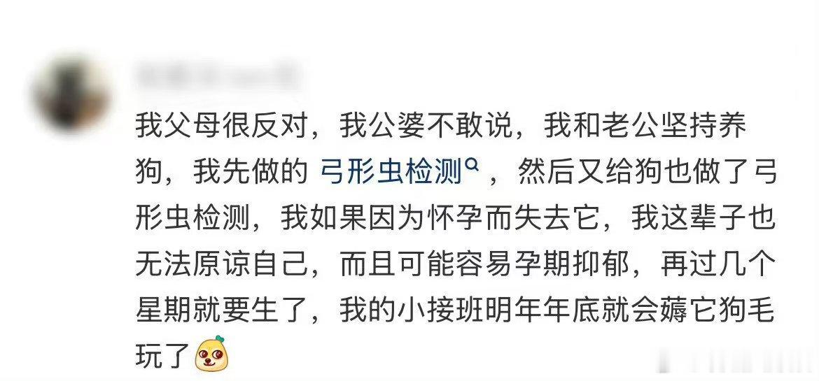 怀孕后要把宠物送走吗21天重养自己专家给出权威结论，宝宝从小和宠物相伴，接触菌群