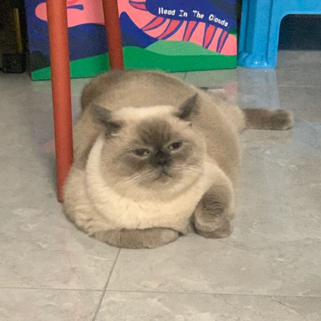 总是一副看不起我的样子